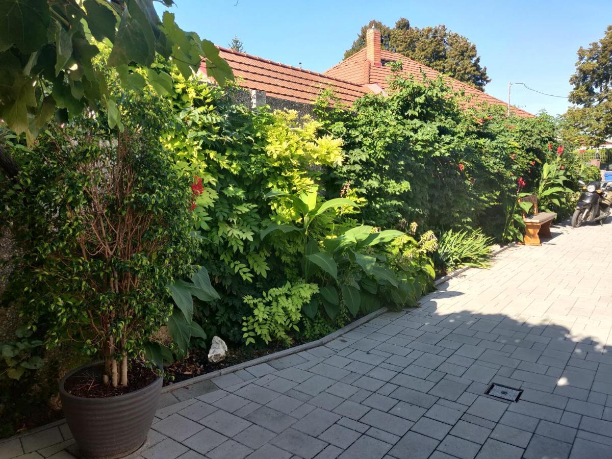 Fészek Fogadó - Pension Nest Mosonmagyaróvár Exterior foto